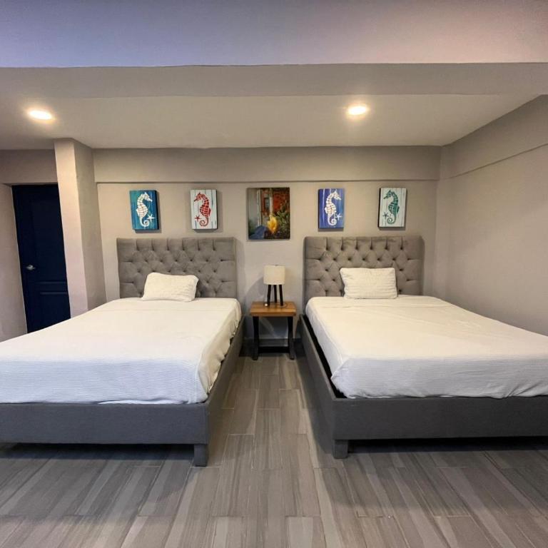 Amplio estudio frente al mar en Cozumel A5 - Apartamento de 1 dormitorio - 8