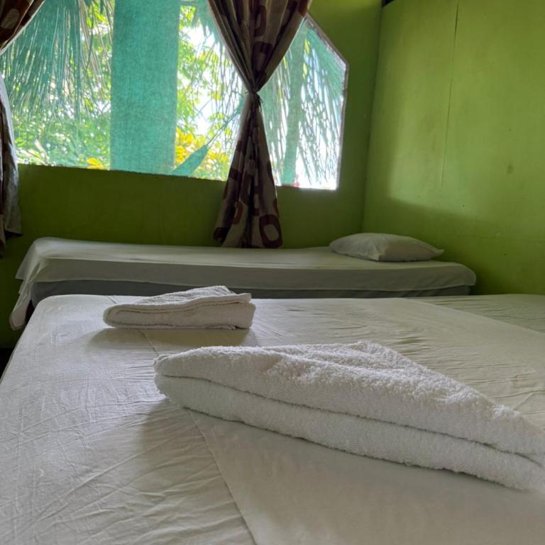 Amazon Lodge and Expeditions - Bungalow - Frente al agua - 33
