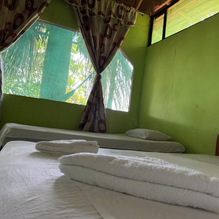 Amazon Lodge and Expeditions - Bungalow - Frente al agua - 34
