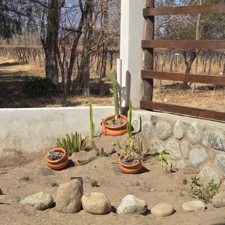 Aromas de Cafayate - Three-Bedroom House - 3