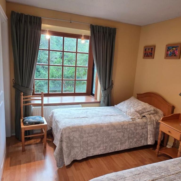 La Puntilla de Villarrica, maravilloso descanso en un entorno natural - Apartamento de 2 dormitorios con vistas al lago - 43