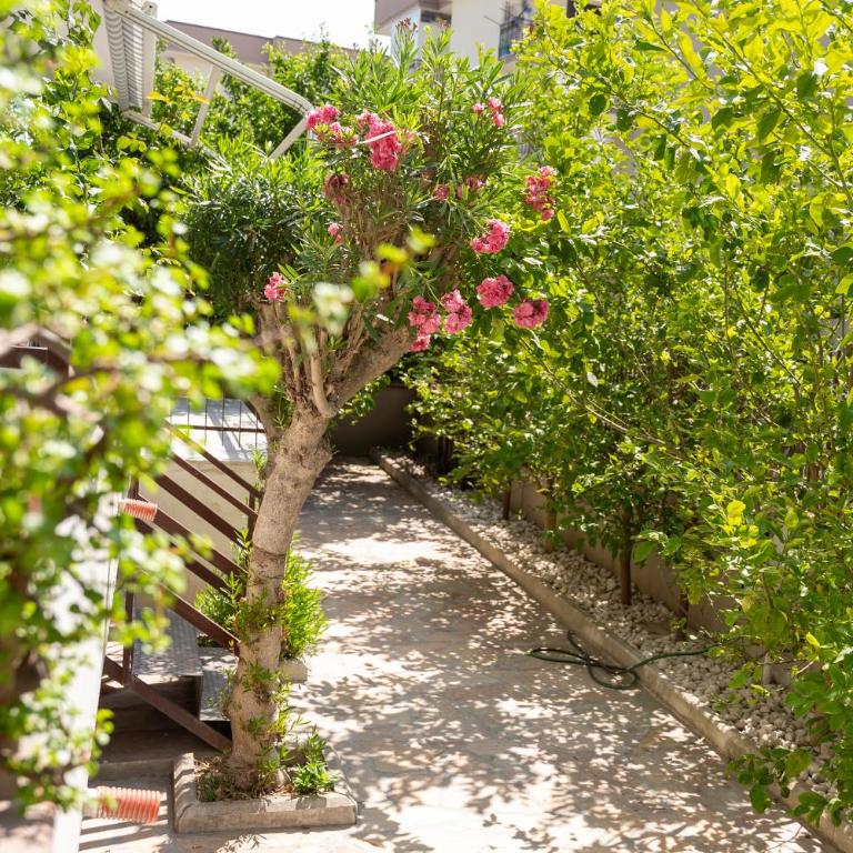 Casetta tra i limoni - Pompei parcheggio - Appartamento con 1 Camera da Letto - 18