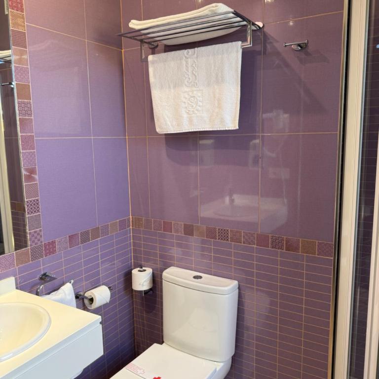 Hostal Los Coronales - Einzelzimmer - 14