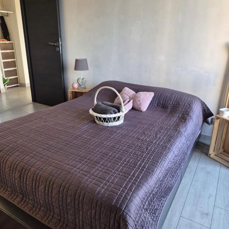 T3 Cosy et lumineux avec terrasse - Apartment mit 2 Schlafzimmern - 12