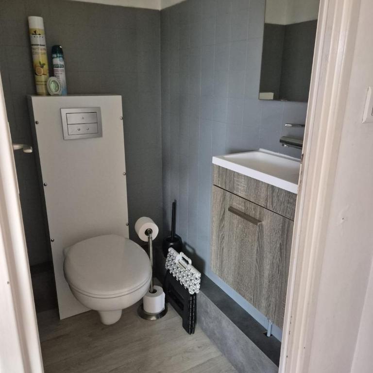 T3 Cosy et lumineux avec terrasse - Apartment mit 2 Schlafzimmern - 33