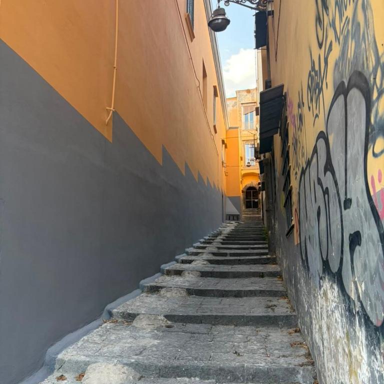 Loft in the Heart of Naples -Privacy -Wifi-Metro- - Two-Bedroom Apartment - 14