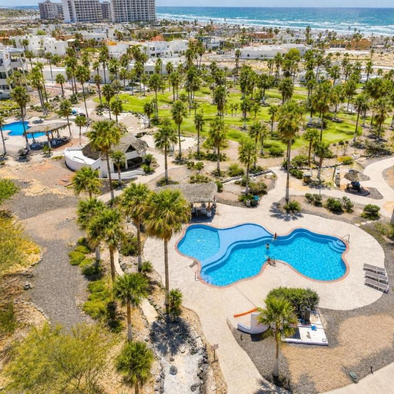 Casa Blanca D703 Pet Friendly Sea View Escape - Apartamento con vistas al mar - 26
