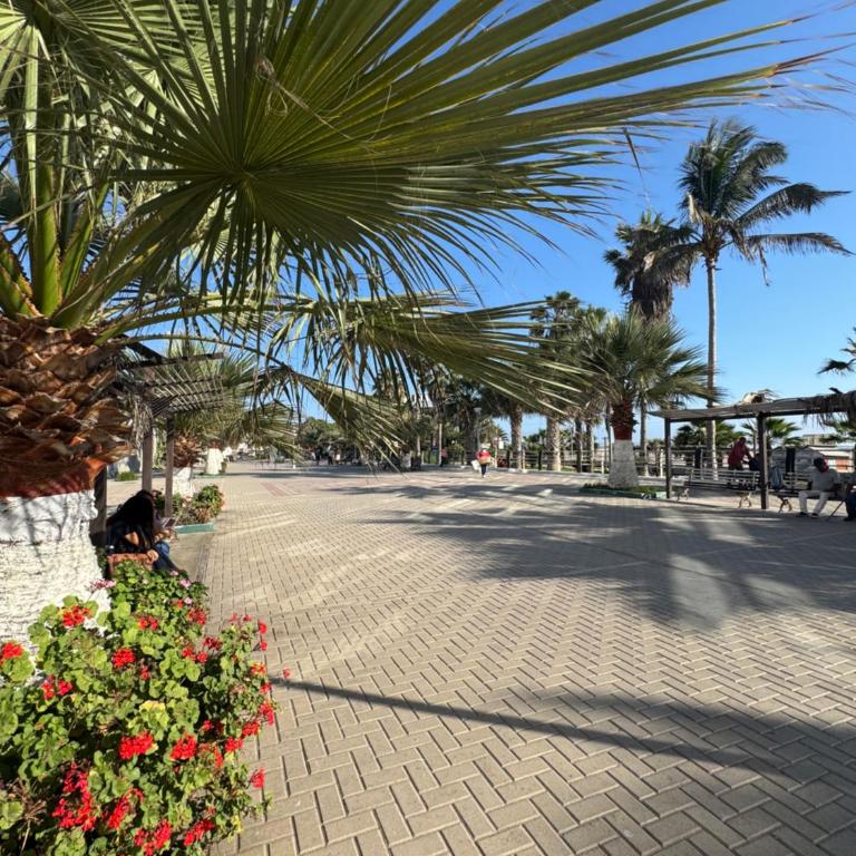 Brand-New Beachfront Luxury at Malecon Seoane Pimentel - Two-Bedroom Apartment - 51