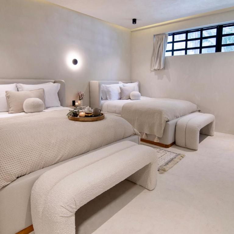 2 Luxury Villas in Condesa with Rooftops 18BR - Villa de 1 dormitorio - 52