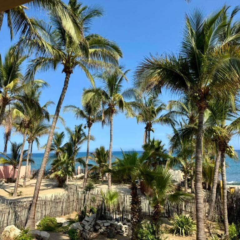 Oceanfront Condo in San José del Cabo - Apartamento de 1 dormitorio - 1