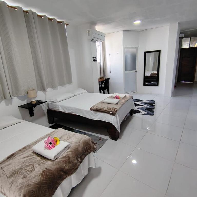 Galápagos Apartments - Apartamento de 1 dormitorio - 15
