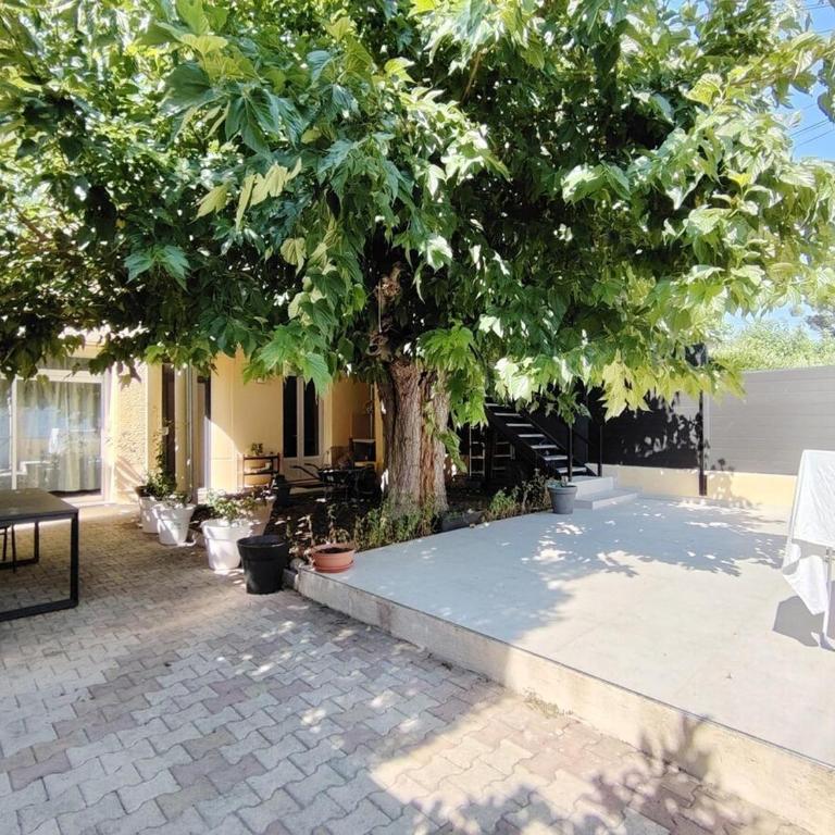 Peaceful haven - Appartement 3 Chambres - 8