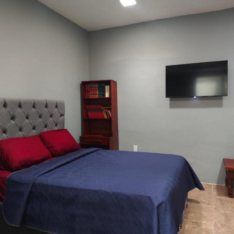Calido Nido Urbano - Apartamento de 2 dormitorios con terraza - 18