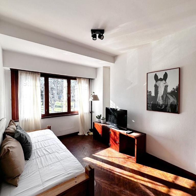 Depto Colón Espacioso y céntrico Junín - Apartamento de 2 dormitorios - 14