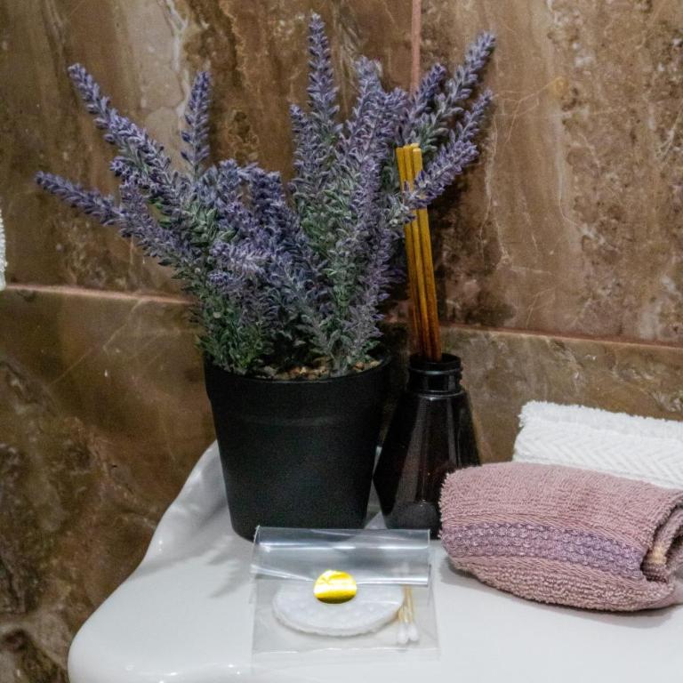 Hotel Casaloreto San Miguel de Allende - Standard Doppelzimmer - 50