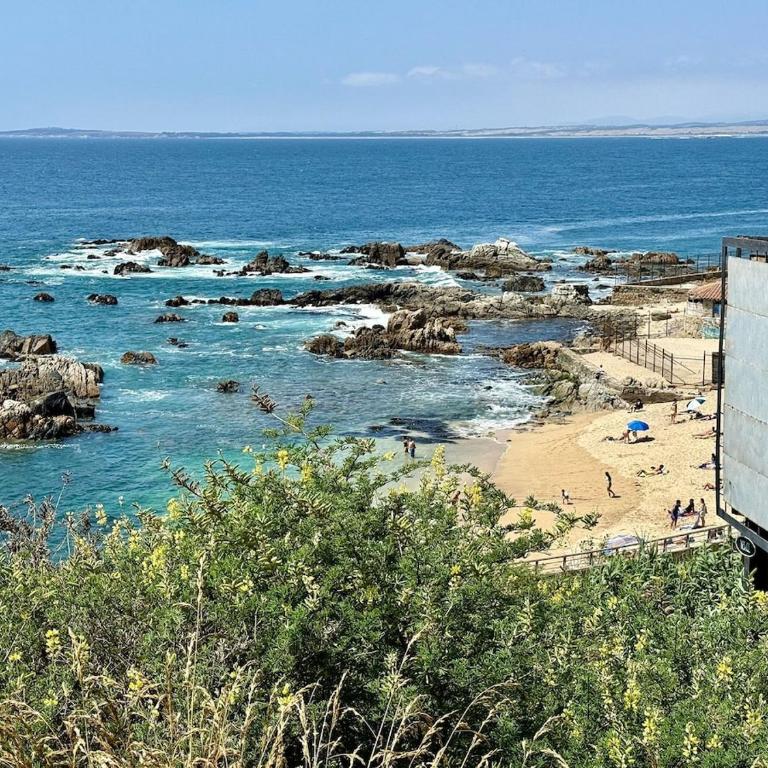 Austral-Home vista al mar frente a Playa Lilenes - Apartamento - 42