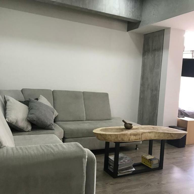 SOHO Loft Panoramic terrace Pet friendly - Apartamento de 1 dormitorio - 1