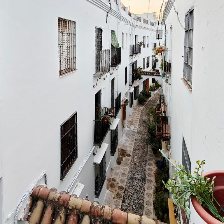 Apartamento Indiano Córdoba - Apartamento de 3 dormitorios - 11