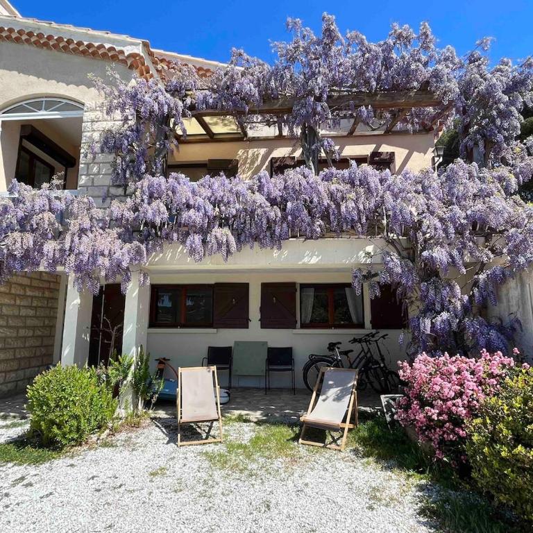 Villa Lilause - Villa - 1