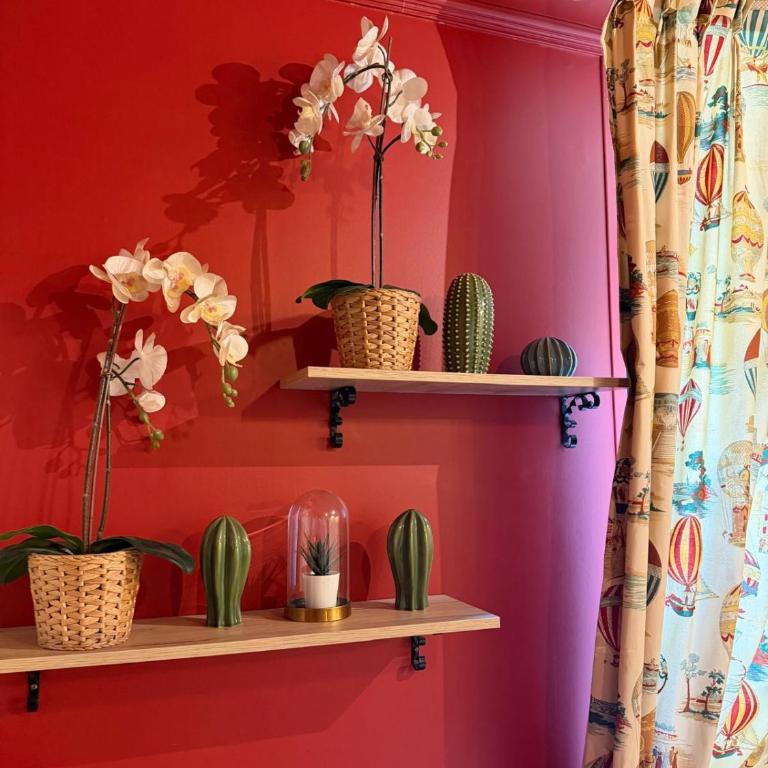 Angers centre, ambiance angevine - Appartement 2 Chambres - 7