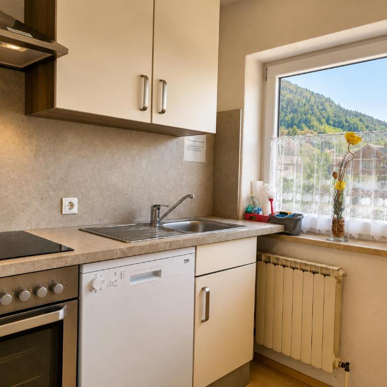 Gästehaus Fernblick - Apartment 3 mit Bergblick - 29