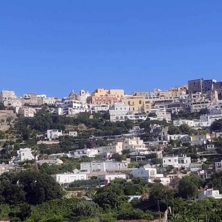 Casetta del custode Capri - Appartamento con 1 Camera da Letto - 11