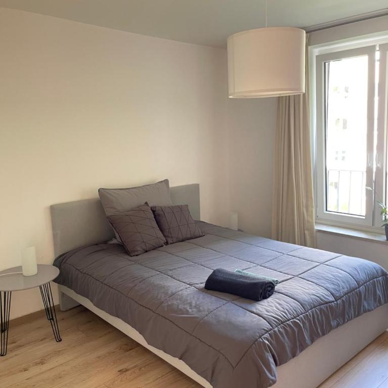 Wiesn Apartment, up to 8 guests - Apartment mit 2 Schlafzimmern - 1