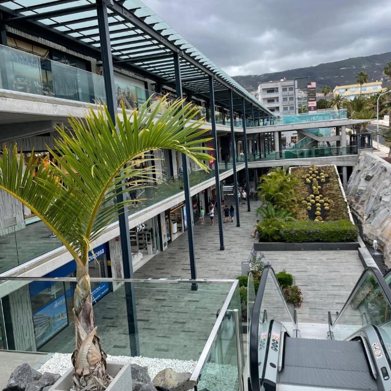 Magnifique vue ocean et Tiede - Apartment mit 2 Schlafzimmern - 7