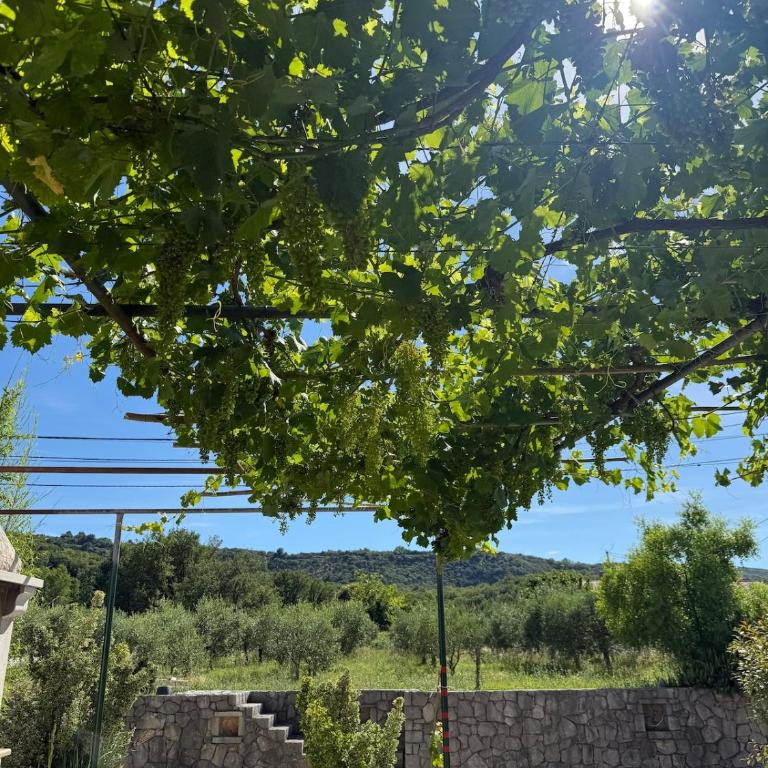 Farmhouse Mocila - Authentic Farm Stay - Haus mit 3 Schlafzimmern - 7