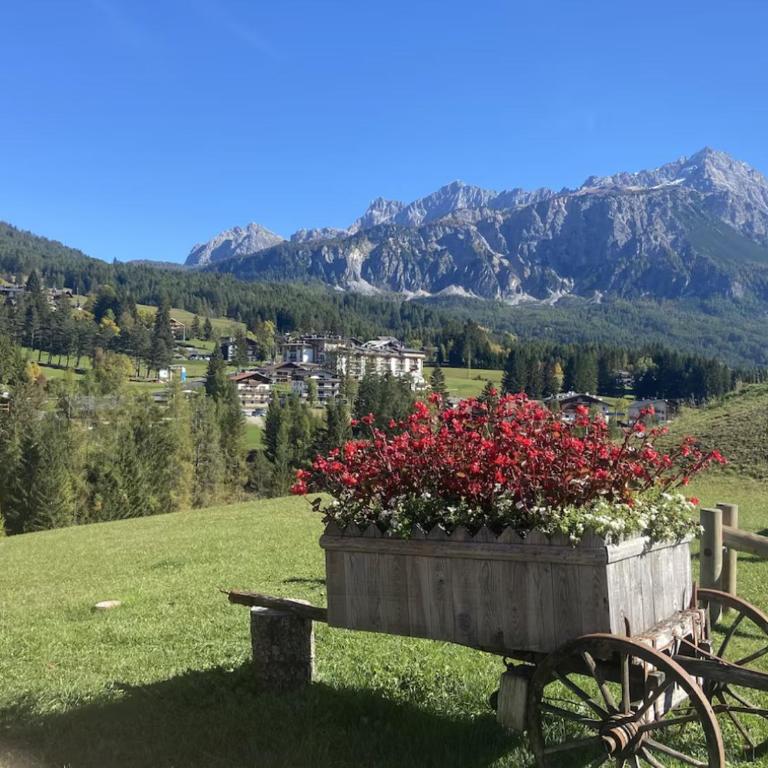 Modern Comfort in Cortina - Appartamento con 2 Camere da Letto - 4