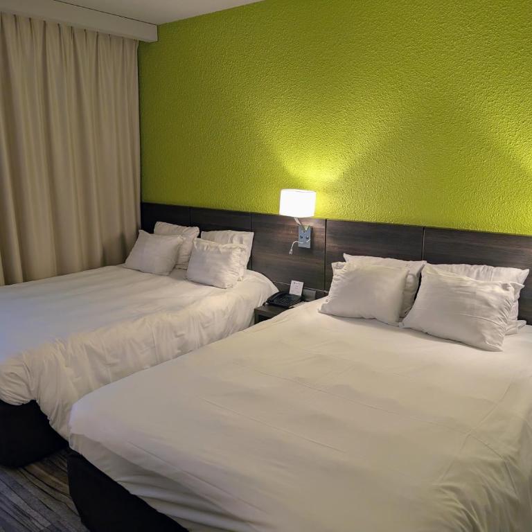 Alexander Park Chambéry - Chambre Double Standard avec 2 Lits Doubles - 4