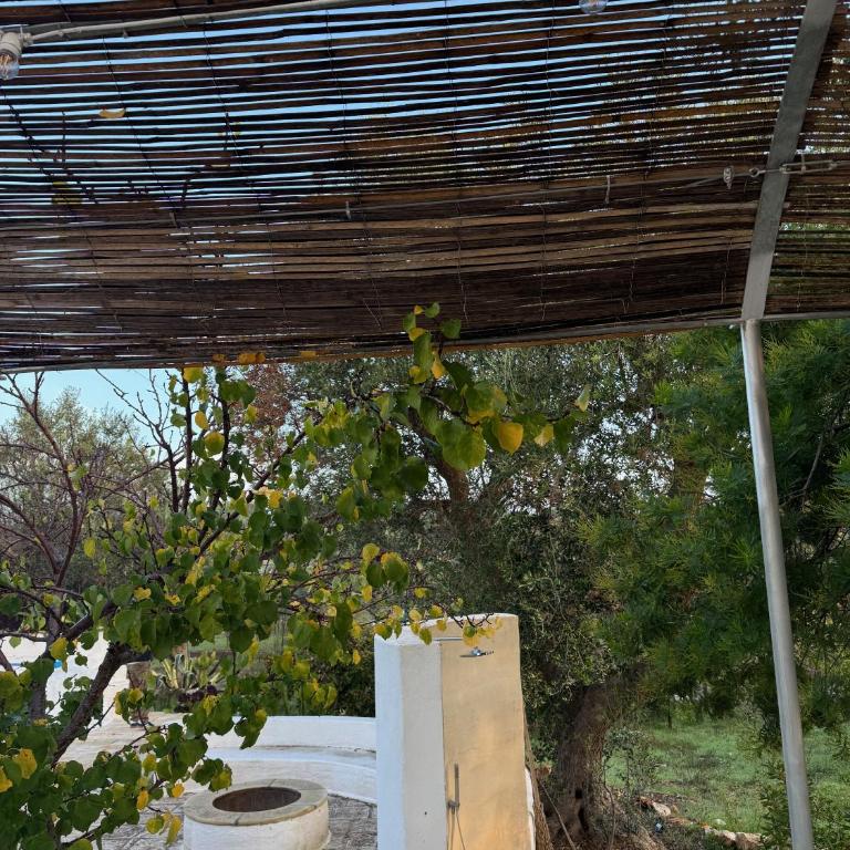 Casedda Mia a charming cottage with cozy private pool - Villa con 1 Camera da Letto - 47