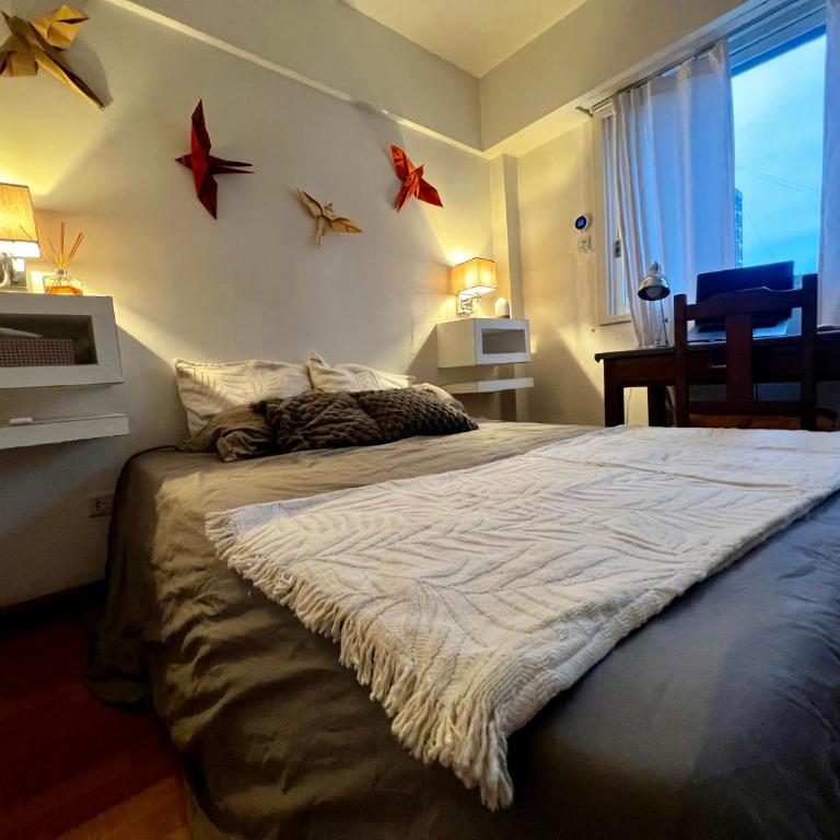 Abasto, 2 ambientes, departamento completo y práctico - One-Bedroom Apartment - 10