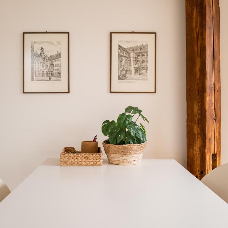 City Center Loft Apartments - Schlossberg View - Appartement 1 Chambre avec Vue - 11