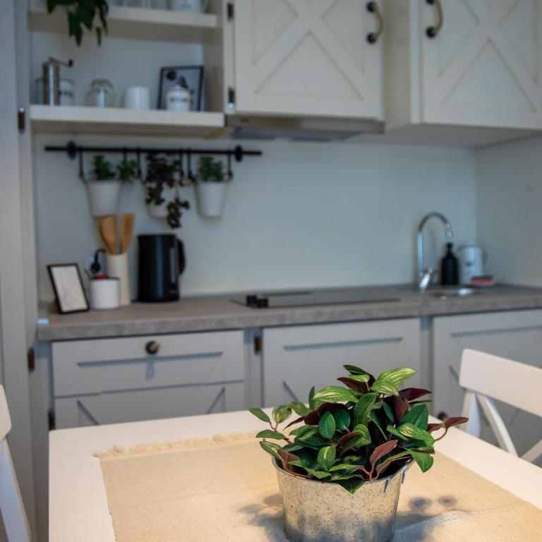 Momentina Apartments - Studio Deluxe - 4