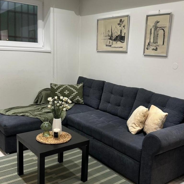 TIM Apartment Sarajevo with private parking - One-Bedroom Apartment - 32