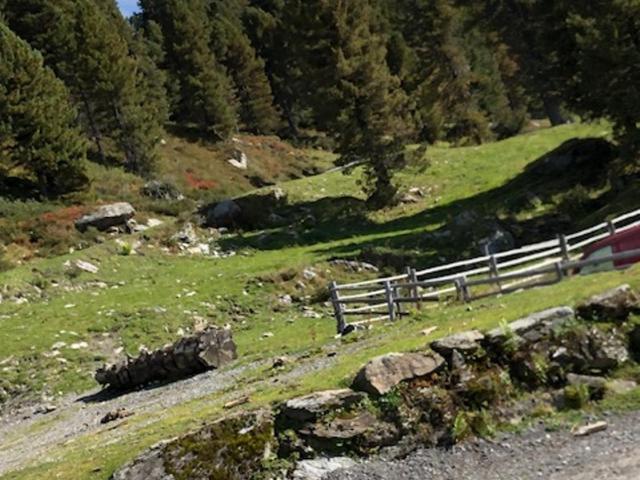 Appartement Wurm- nahe Hochzillertal für Familien - Apartment mit 2 Schlafzimmern - 32