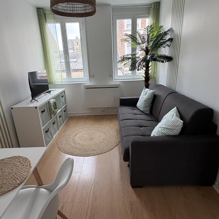 Duminy, Amiens Center-Wi-Fi-parking - Appartement 1 Chambre - 29
