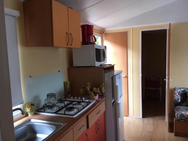 Camping Familial Buffalo Hacienda - Mobile Home - 1