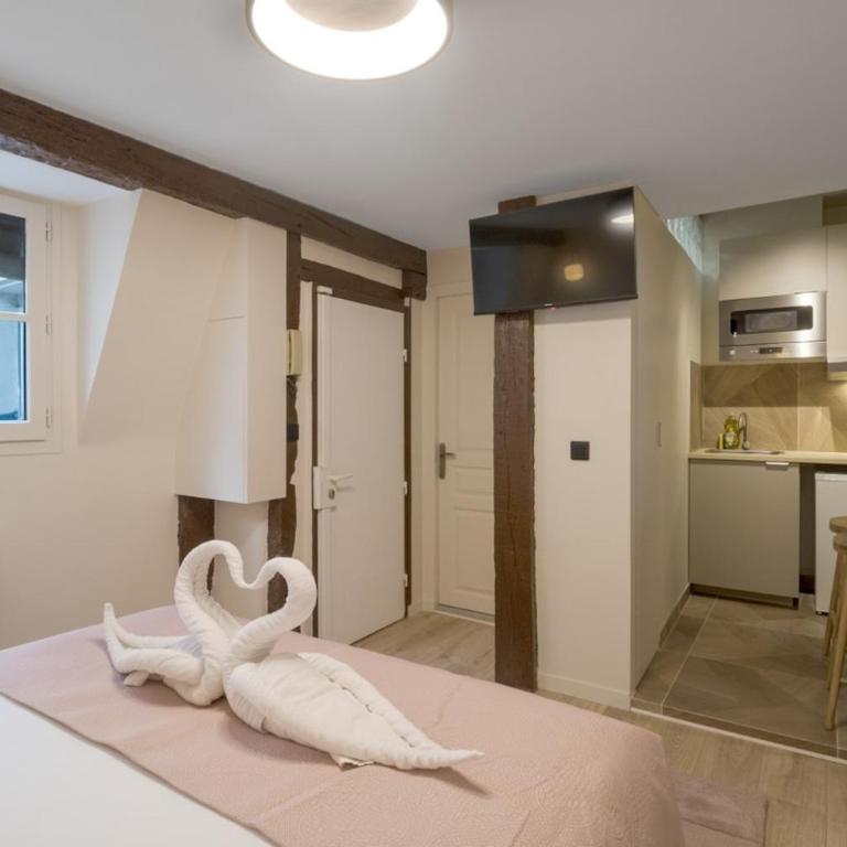 Cozy studio on Île Saint-Louis - Studio - 3