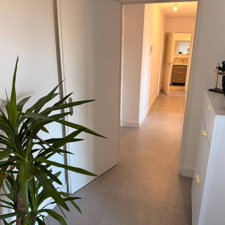 L'Escale d'Ovalie, GGL Stadium, Parking, Tram - Apartment mit 3 Schlafzimmern - 31