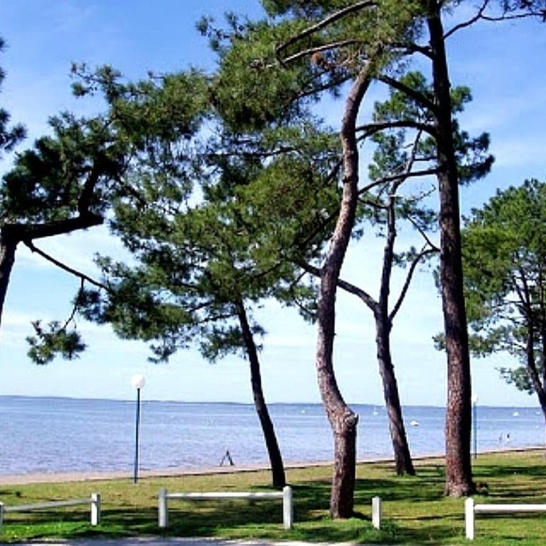 La Cabane d'Audrey à 80m de la plage - Casa con 1 dormitorio - 14