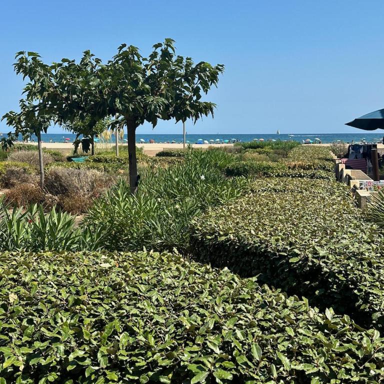 Les mers du sud - Sur la plage - Apartamento de 1 dormitorio - 15