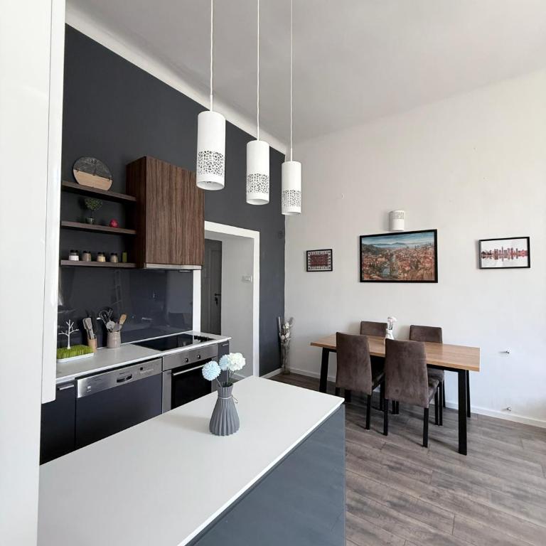 CasaCentral - Apartman sa 1 Spavaćom Sobom - 10