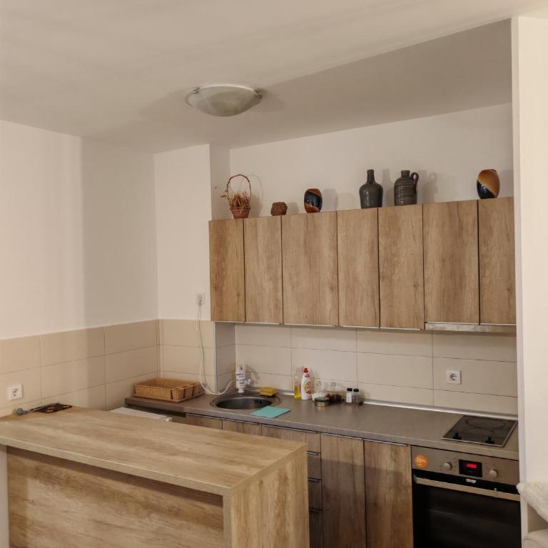 Apartmani Despot - One-Bedroom Apartment - 1