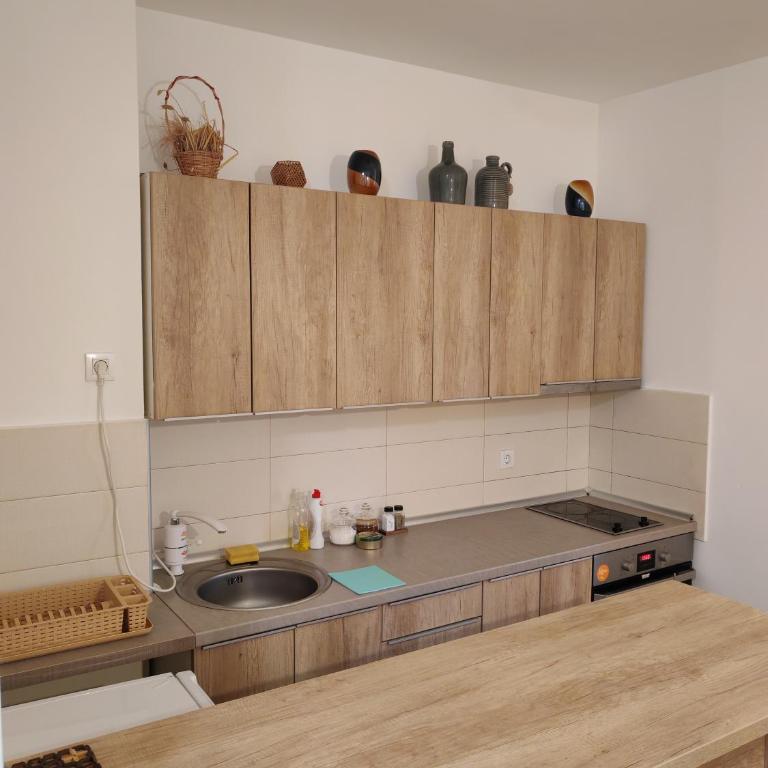 Apartmani Despot - One-Bedroom Apartment - 20