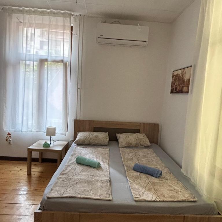 Via Slavija Hostel - Dvokrevetna Soba sa Bračnim Krevetom - 4