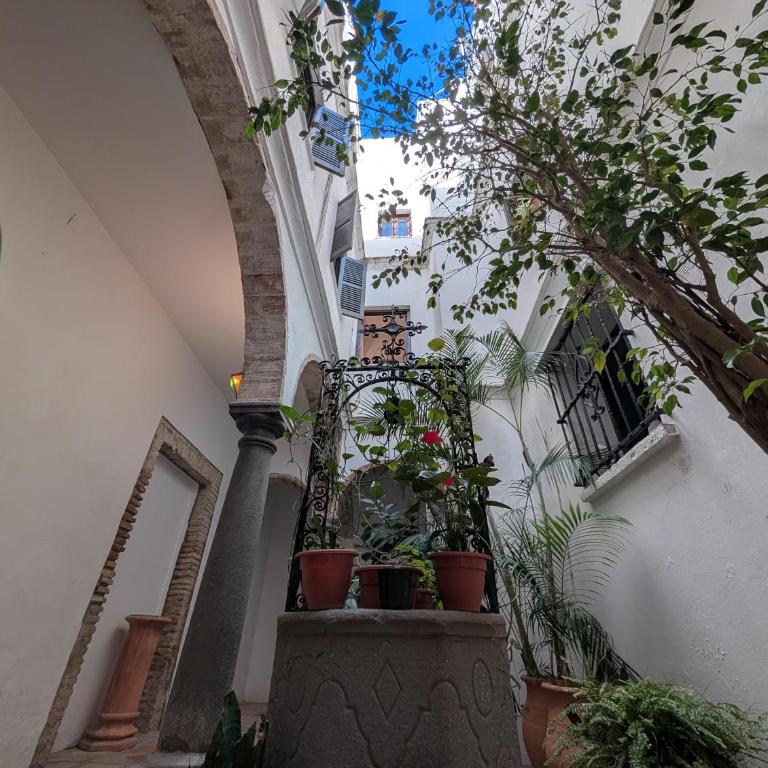 350 - Livingtarifa Karma - Apartamento - 25