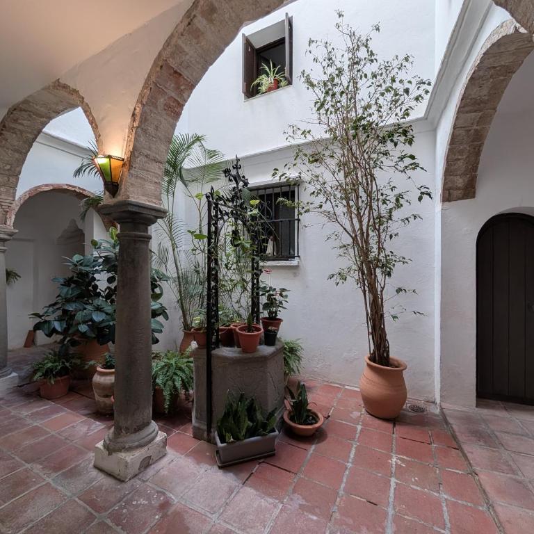 350 - Livingtarifa Karma - Apartamento - 26