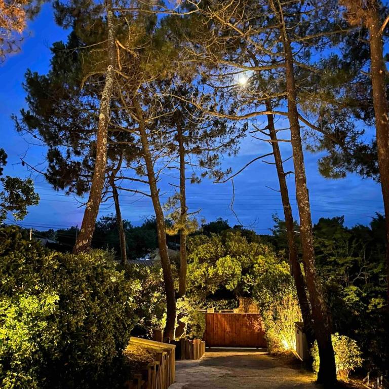 Villa horizon cap ferret - Villa - 39